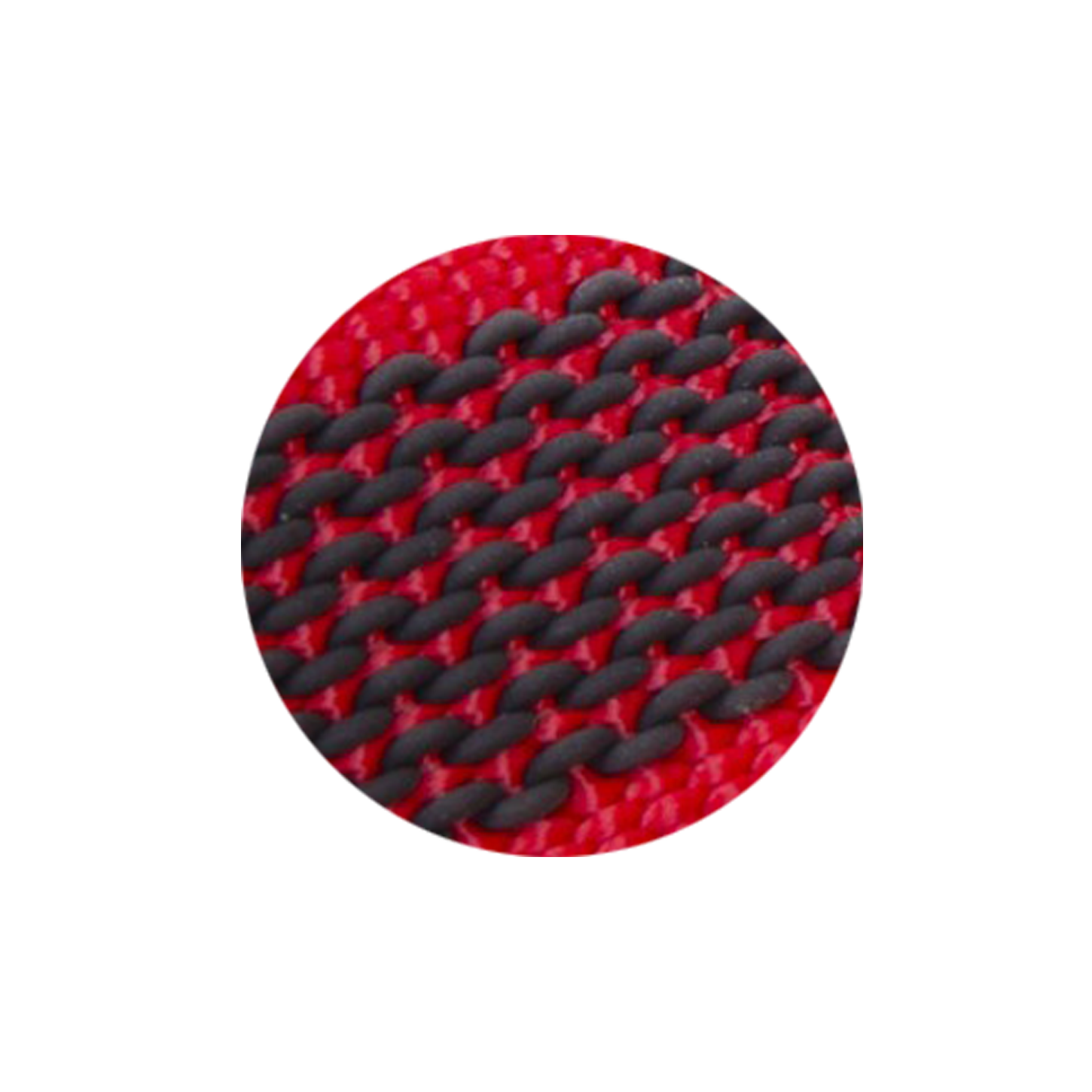 Rot