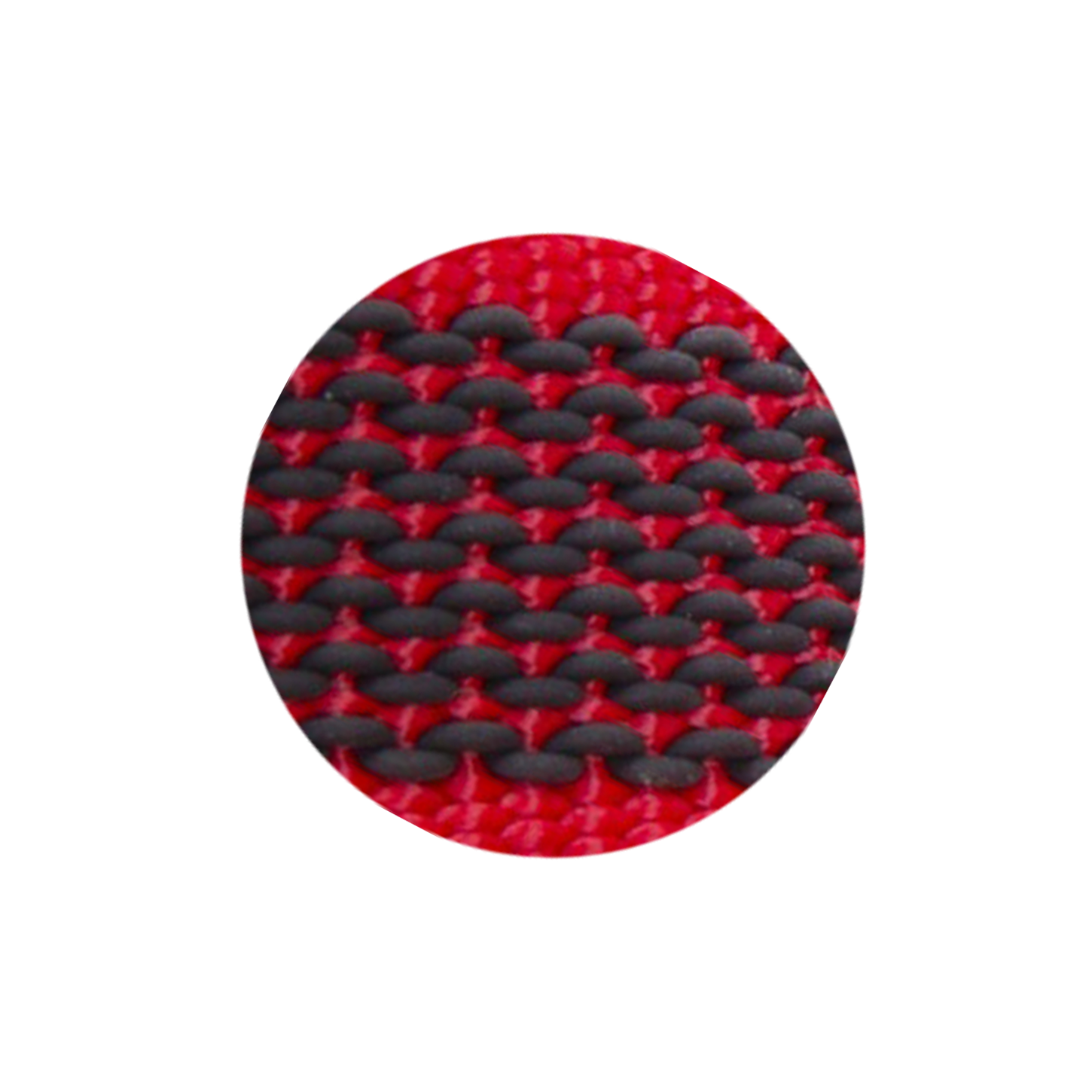 Rot