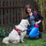 Kép Julius-K9® IDC® Universal Taschen Große (0/M-4/3XL)