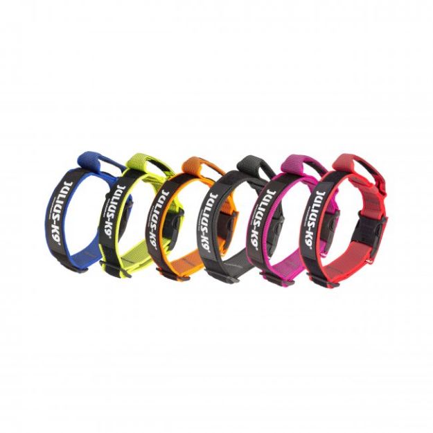 Kép Julius-K9® IDC® Color&Gray® Halsband mit Griff 49-70 cm
