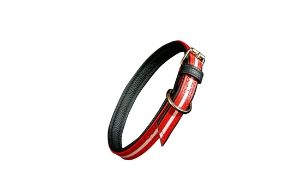 Kép IDC® Lumino, phosphoreszierende Halsband - 50cm, Rot
