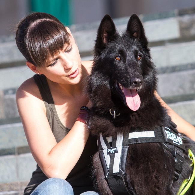 Kép Julius-K9® Y-Gurt 2XL (Gr. 3) und 3XL (Gr. 4)