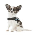 Kép Julius-K9® IDC® Powergeschirr Baby1/3XS 