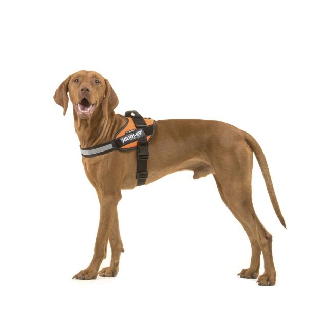 Julius-K9 IDC Hundegeschirr 1/L