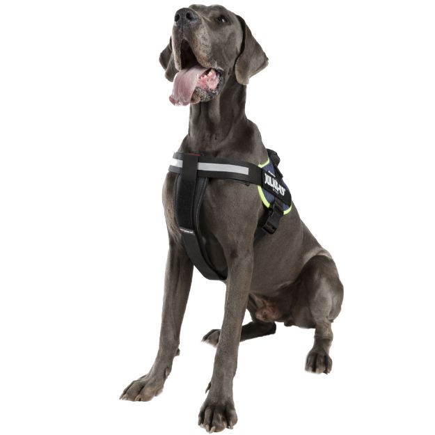 Julius-K9 IDC Hundegeschirr 3/2XL