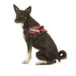 Julius-K9 IDC Hundegeschirr Mini/S