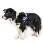 Julius-K9 IDC Hundegeschirr 0/M