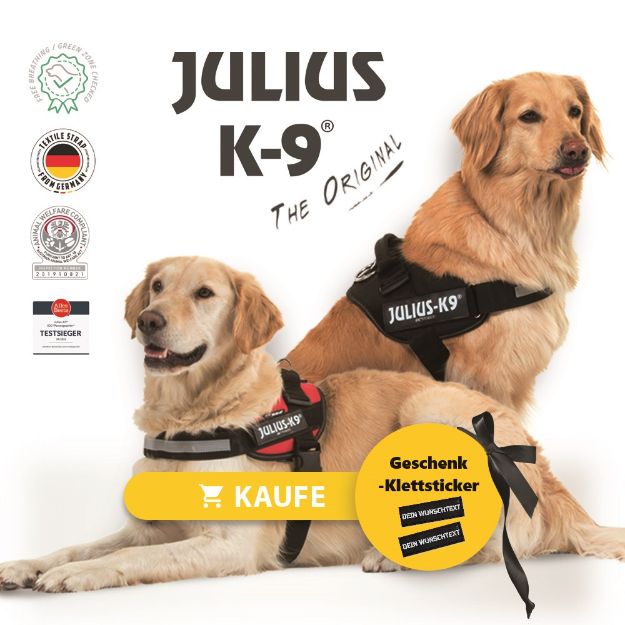Kép Julius-K9® IDC® Hundegeschirr mit Geschenk-Klettsticker