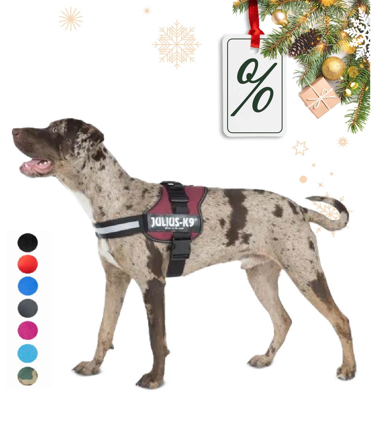 Kép Julius-K9® K9® Powergeschirr