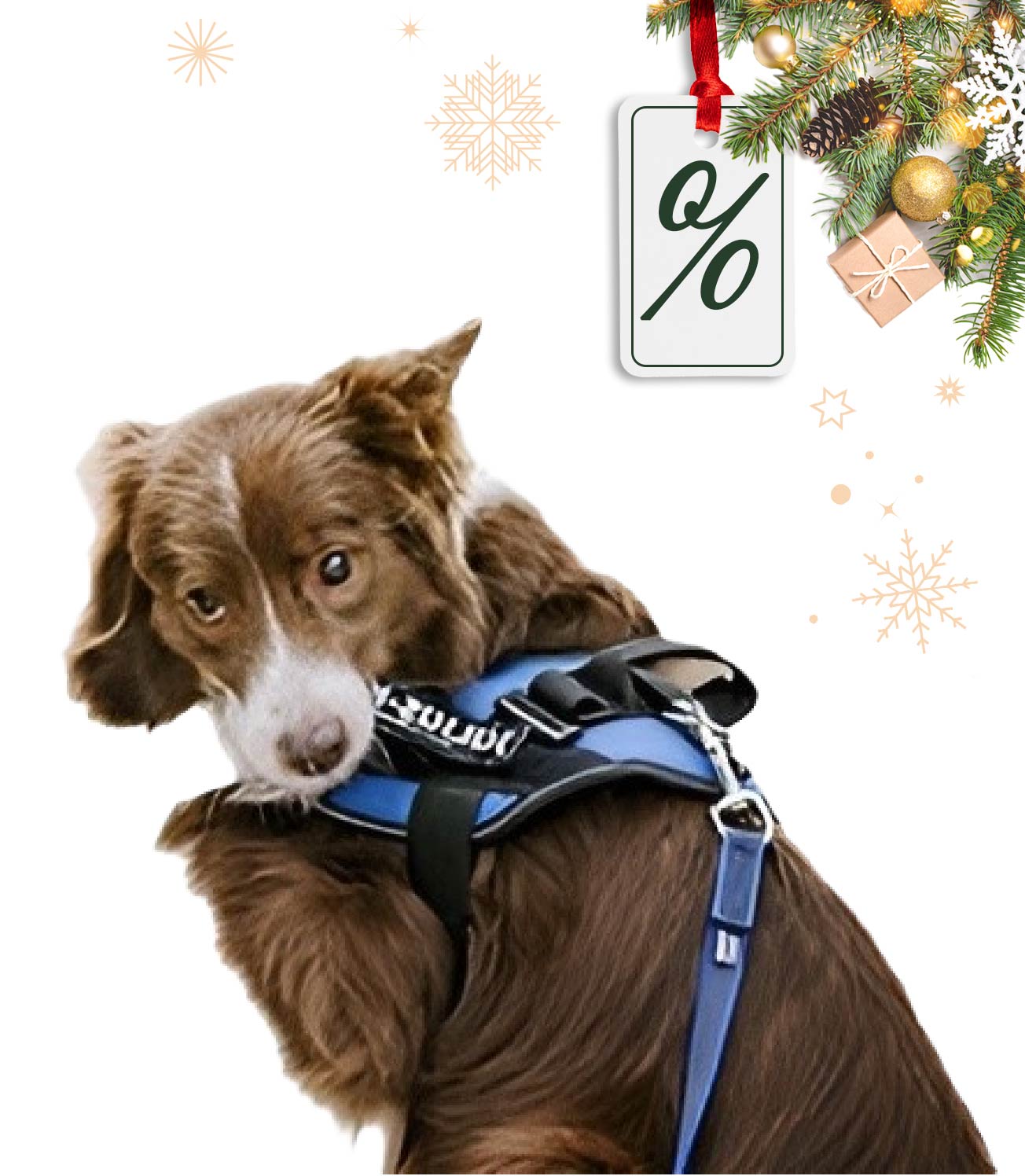 Kép P24S® Klettsticker Wunschlogo